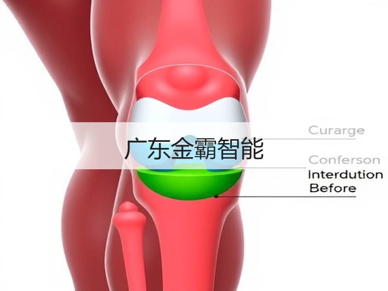 广东金霸智能