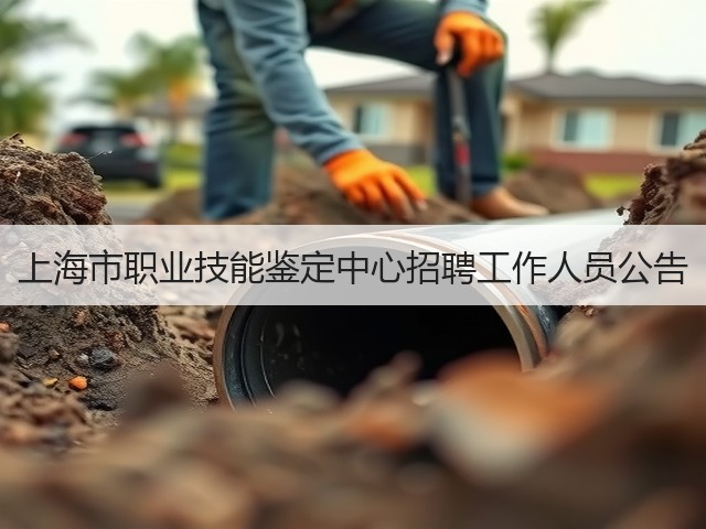 上海市职业技能鉴定中心招聘工作人员公告(图3)