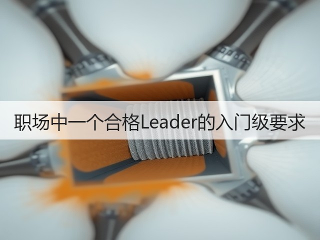 职场中一个合格Leader的入门级要求(图1) 职场中一个合格Leader的入门级要求(图1)