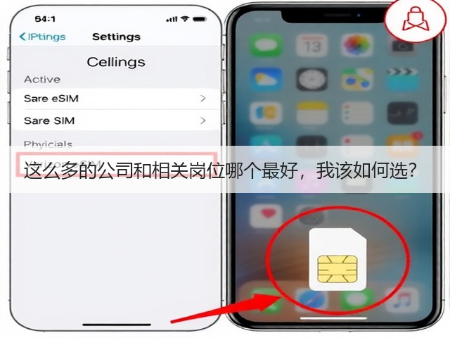 这么多的公司和相关岗位哪个最好,我该如何选?(图1) 这么多的公司和相关岗位哪个最好,我该如何选?(图1)