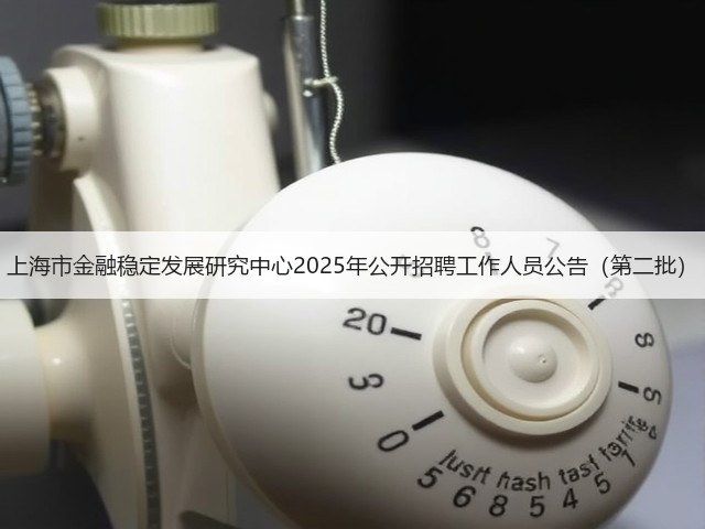 上海市金融稳定发展研究中心2025年公开招聘工作人员公告(第二批)(图2) 上海市金融稳定发展研究中心2025年公开招聘工作人员公告(第二批)(图2)