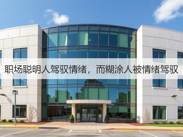 职场聪明人驾驭情绪,而糊涂人被情绪驾驭(图1) 职场聪明人驾驭情绪,而糊涂人被情绪驾驭(图1)