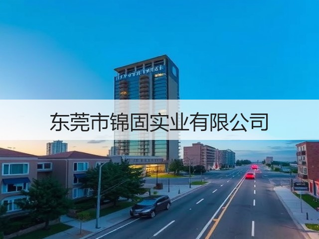 东莞市锦固实业有限公司(图3)