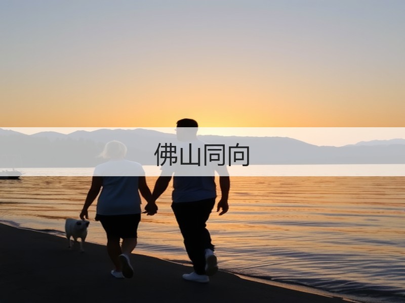 佛山同向