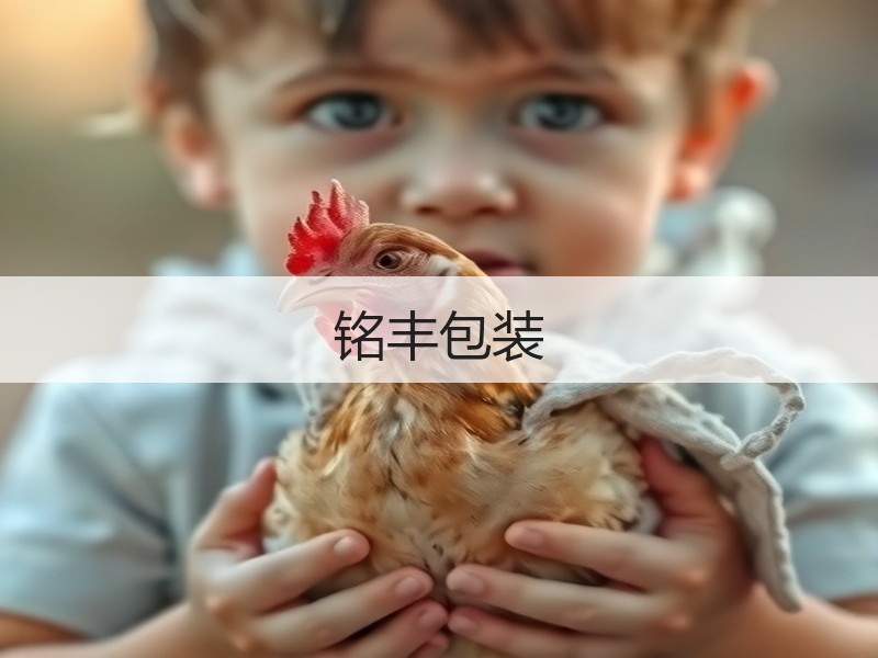 铭丰包装