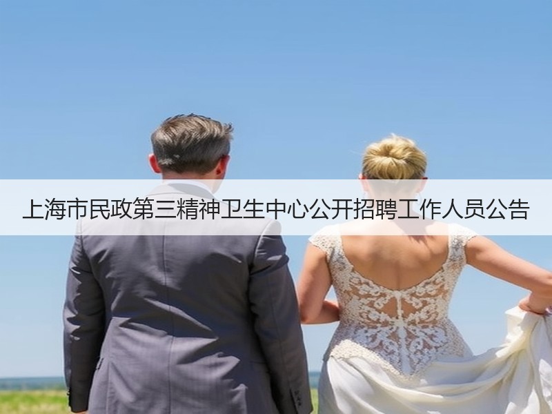 上海市民政第三精神卫生中心公开招聘工作人员公告