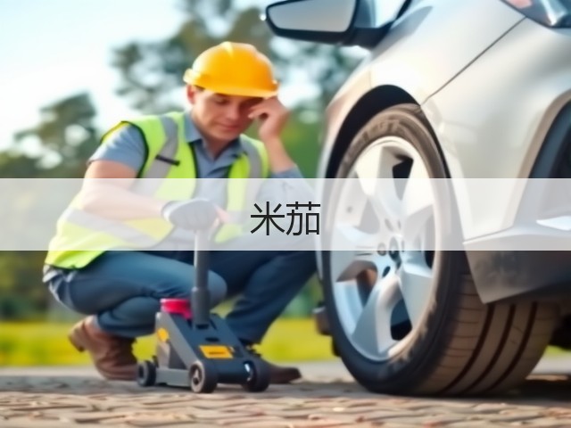 米茄(图1)