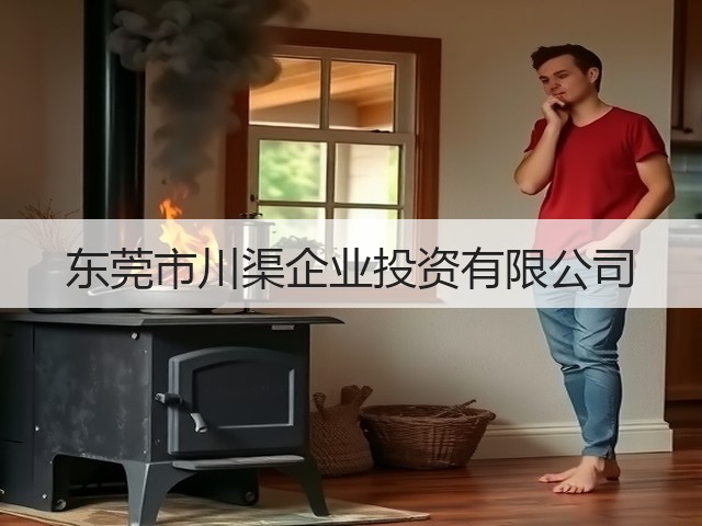 东莞市川渠企业投资有限公司(图1)