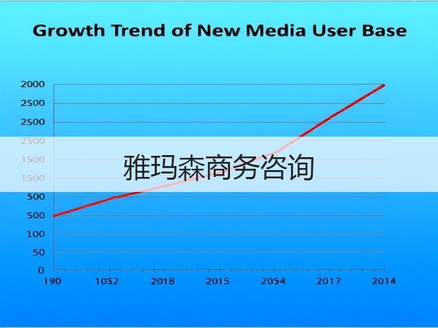 雅玛森商务咨询(图2)