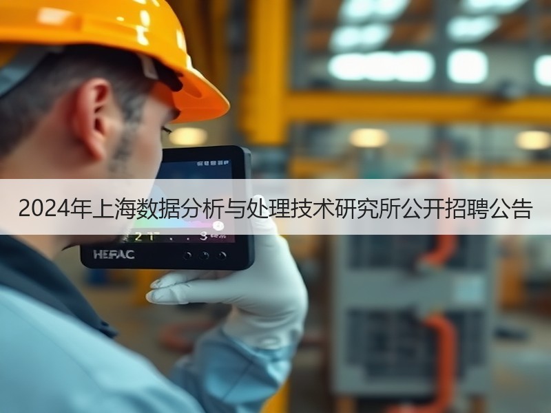 2024年上海数据分析与处理技术研究所公开招聘公告