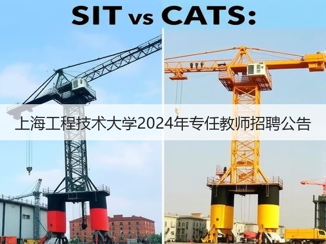 上海工程技术大学2024年专任教师招聘公告(图2) 上海工程技术大学2024年专任教师招聘公告(图2)