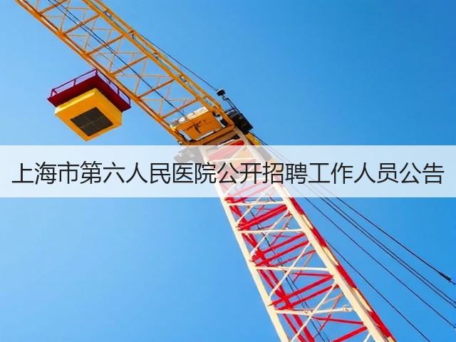 上海市第六人民医院公开招聘工作人员公告(图2) 上海市第六人民医院公开招聘工作人员公告(图2)
