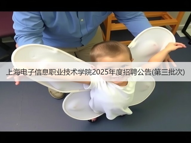 上海电子信息职业技术学院2025年度招聘公告(第三批次)(图3) 上海电子信息职业技术学院2025年度招聘公告(第三批次)(图3)