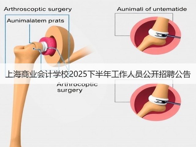 上海商业会计学校2025下半年工作人员公开招聘公告(图2) 上海商业会计学校2025下半年工作人员公开招聘公告(图2)