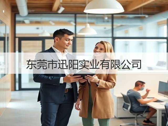 东莞市迅阳实业有限公司(图3)