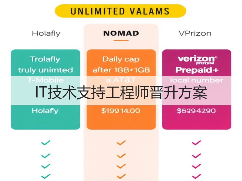 IT技术支持工程师晋升方案