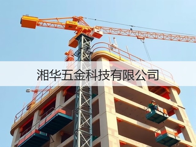 湘华五金科技有限公司(图1)