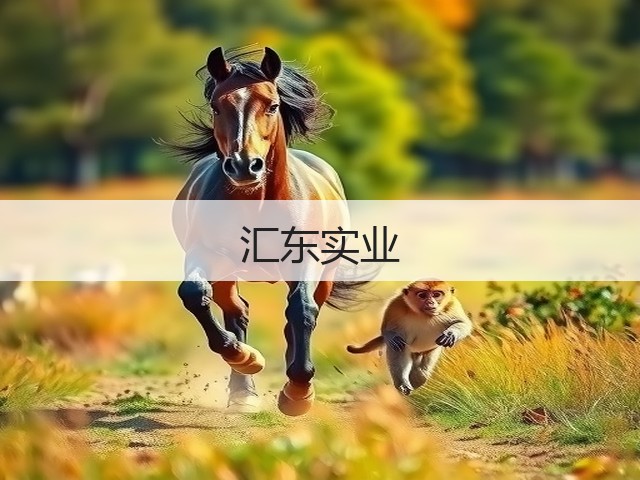 汇东实业(图2)