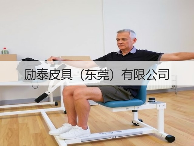 励泰皮具（东莞）有限公司(图1)