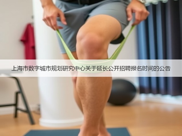 上海市数字城市规划研究中心关于延长公开招聘报名时间的公告(图2)