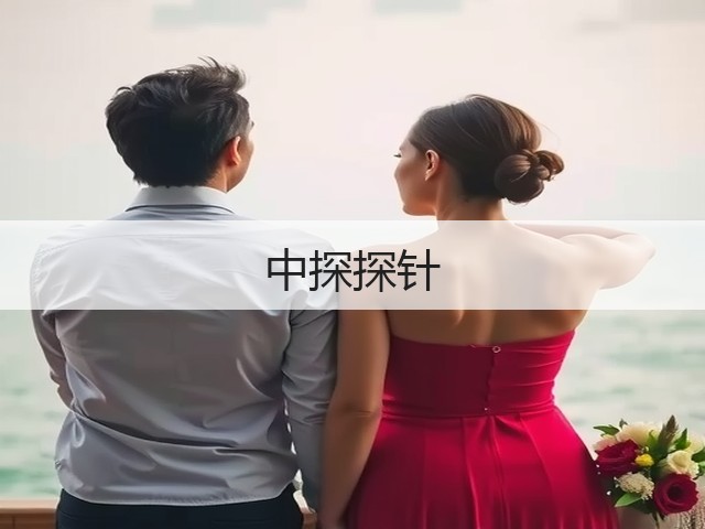中探探针(图1)