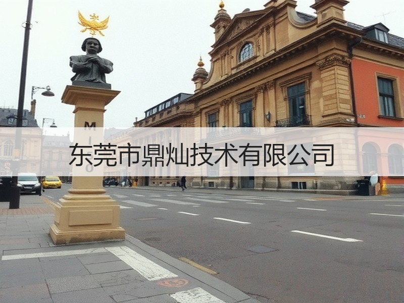东莞市鼎灿技术有限公司