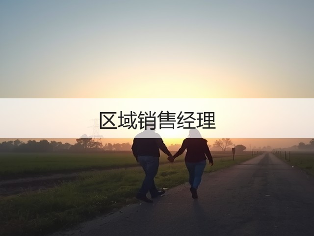 区域销售经理(图1)