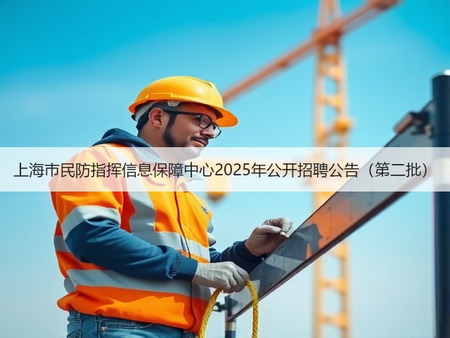 上海市民防指挥信息保障中心2025年公开招聘公告(第二批)(图2) 上海市民防指挥信息保障中心2025年公开招聘公告(第二批)(图2)