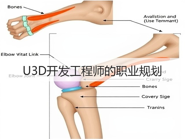 U3D开发工程师的职业规划(图1) U3D开发工程师的职业规划(图1)
