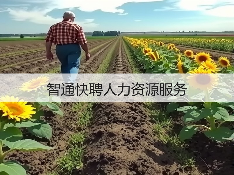 智通快聘人力资源服务