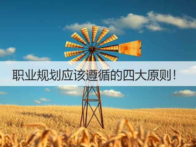职业规划应该遵循的四大原则!(图1) 职业规划应该遵循的四大原则!(图1)