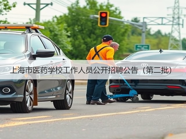 上海市医药学校工作人员公开招聘公告(第二批)(图3) 上海市医药学校工作人员公开招聘公告(第二批)(图3)