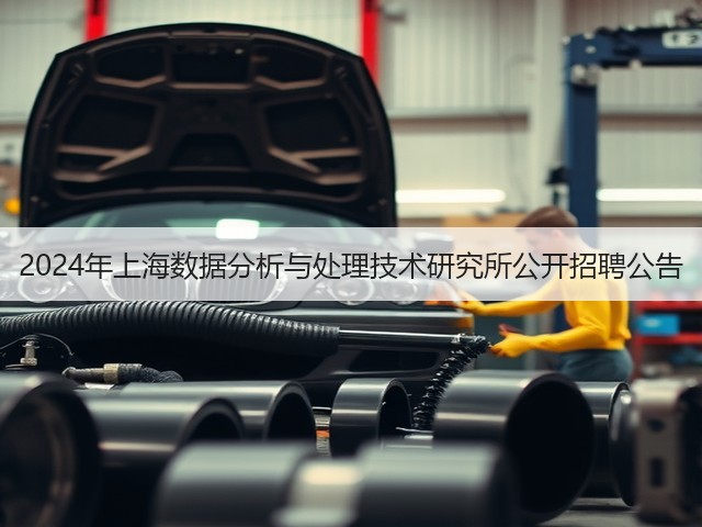 2024年上海数据分析与处理技术研究所公开招聘公告(图3) 2024年上海数据分析与处理技术研究所公开招聘公告(图3)