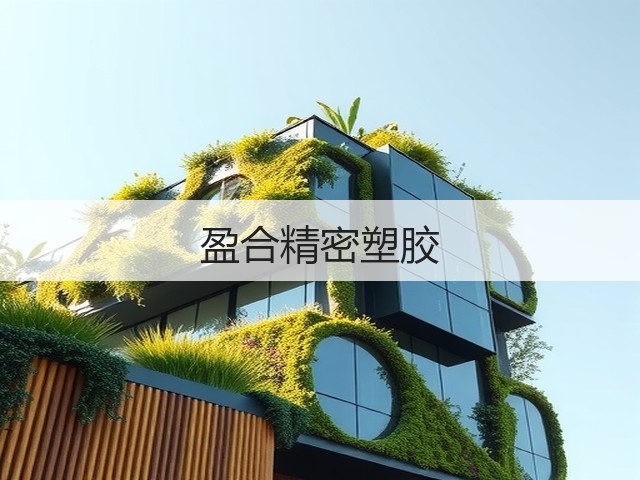 盈合精密塑胶(图2) 盈合精密塑胶(图2)
