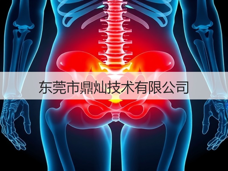 东莞市鼎灿技术有限公司