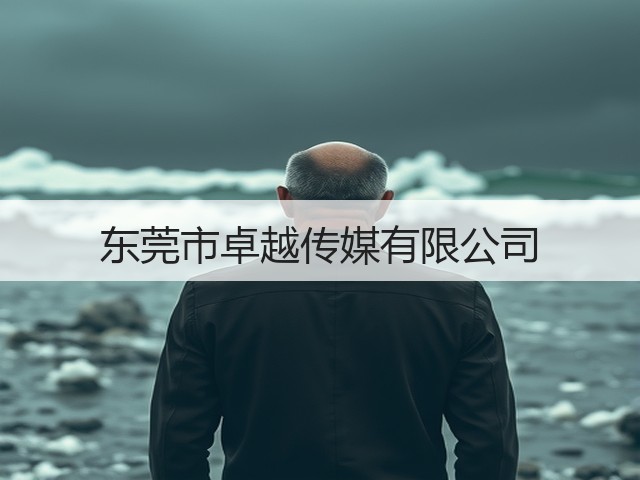 东莞市卓越传媒有限公司(图3)