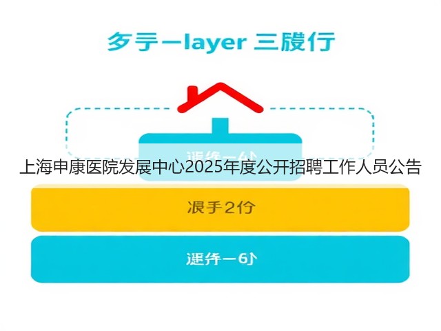 上海申康医院发展中心2025年度公开招聘工作人员公告(图3) 上海申康医院发展中心2025年度公开招聘工作人员公告(图3)