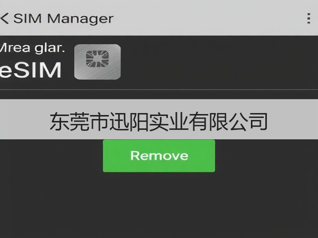 东莞市迅阳实业有限公司(图2)
