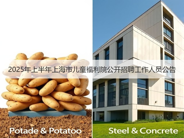 2025年上半年上海市儿童福利院公开招聘工作人员公告(图3)