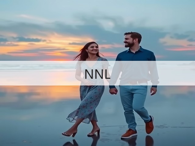 NNL(图2)
