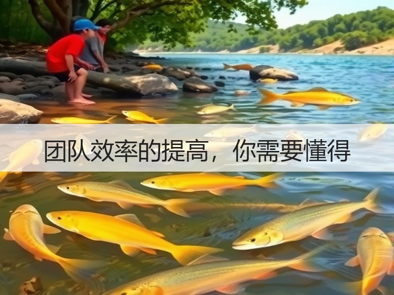 团队效率的提高，你需要懂得