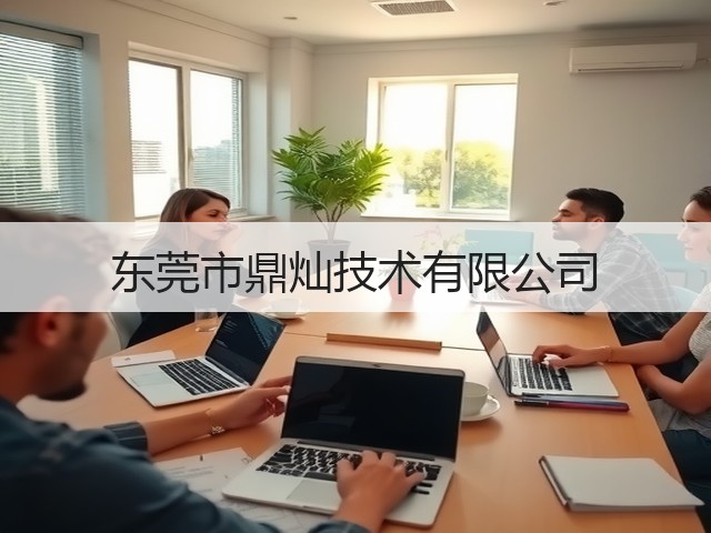 东莞市鼎灿技术有限公司(图2)