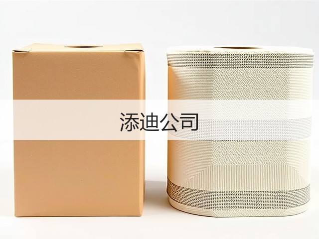添迪公司(图2)