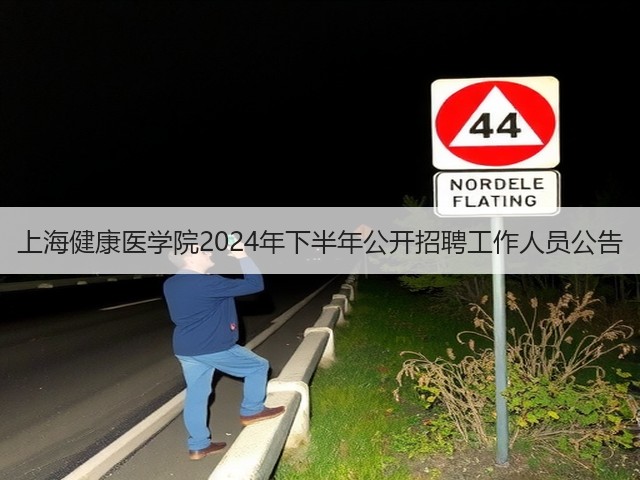 上海健康医学院2024年下半年公开招聘工作人员公告(图2)