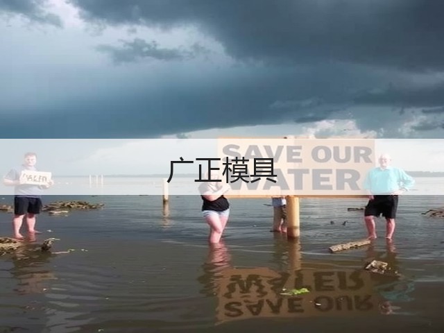广正模具(图2) 广正模具(图2)