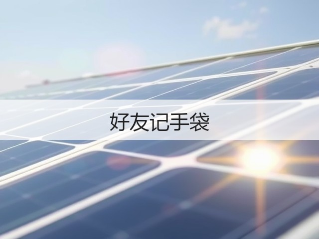 好友记手袋(图1)