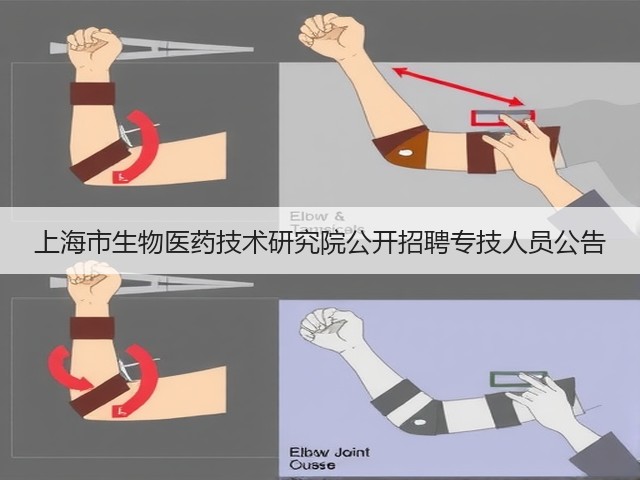 上海市生物医药技术研究院公开招聘专技人员公告(图2) 上海市生物医药技术研究院公开招聘专技人员公告(图2)