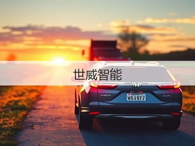 世威智能(图1)