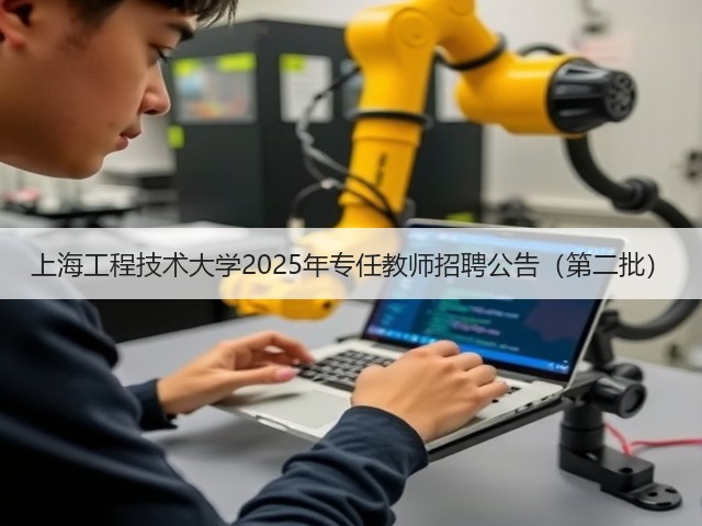 上海工程技术大学2025年专任教师招聘公告(第二批)(图2) 上海工程技术大学2025年专任教师招聘公告(第二批)(图2)