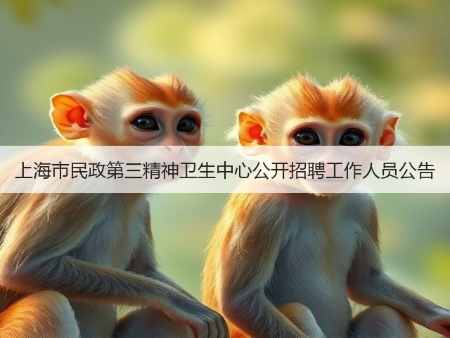 上海市民政第三精神卫生中心公开招聘工作人员公告(图2) 上海市民政第三精神卫生中心公开招聘工作人员公告(图2)